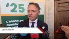 Ue-Mercosur, Lollobrigida: 'governo fara' di tutto per proteggere avicoltura, Il 31 incontriamo Sefcovic'