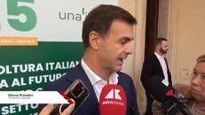 Ue-Mercosur, Prandini: 'molto preoccupati, non c'e' clausola salvaguardia automatica'