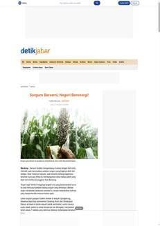 Indonesia: Sorghum as a new source of energy and food in Bandung