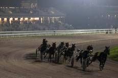 All'ippodromo Snai San Siro di Milano la grande festa del trotto