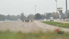 Ippica: a San Siro è tornato il Gran Premio Paolo e Orsino Orsi Mangelli