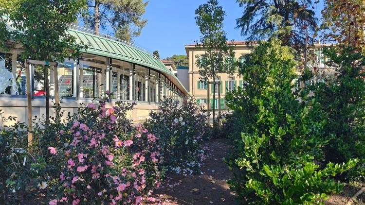 Un giardino e una rosa dedicata per il Meyer in green