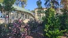 Un giardino e una rosa dedicata per il Meyer in green