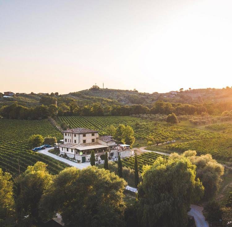 Wine resort Casale VerdeLuna