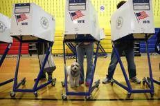 New York, elettori al voto per scegliere il sindaco - Afp