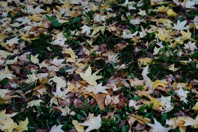 Previsioni meteo dei prossimi giorni - (Fotogramma/Ipa)