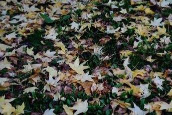 Previsioni meteo dei prossimi giorni - (Fotogramma/Ipa)