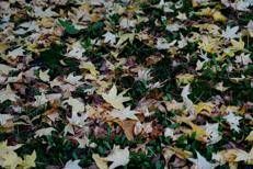 Previsioni meteo dei prossimi giorni - (Fotogramma/Ipa)