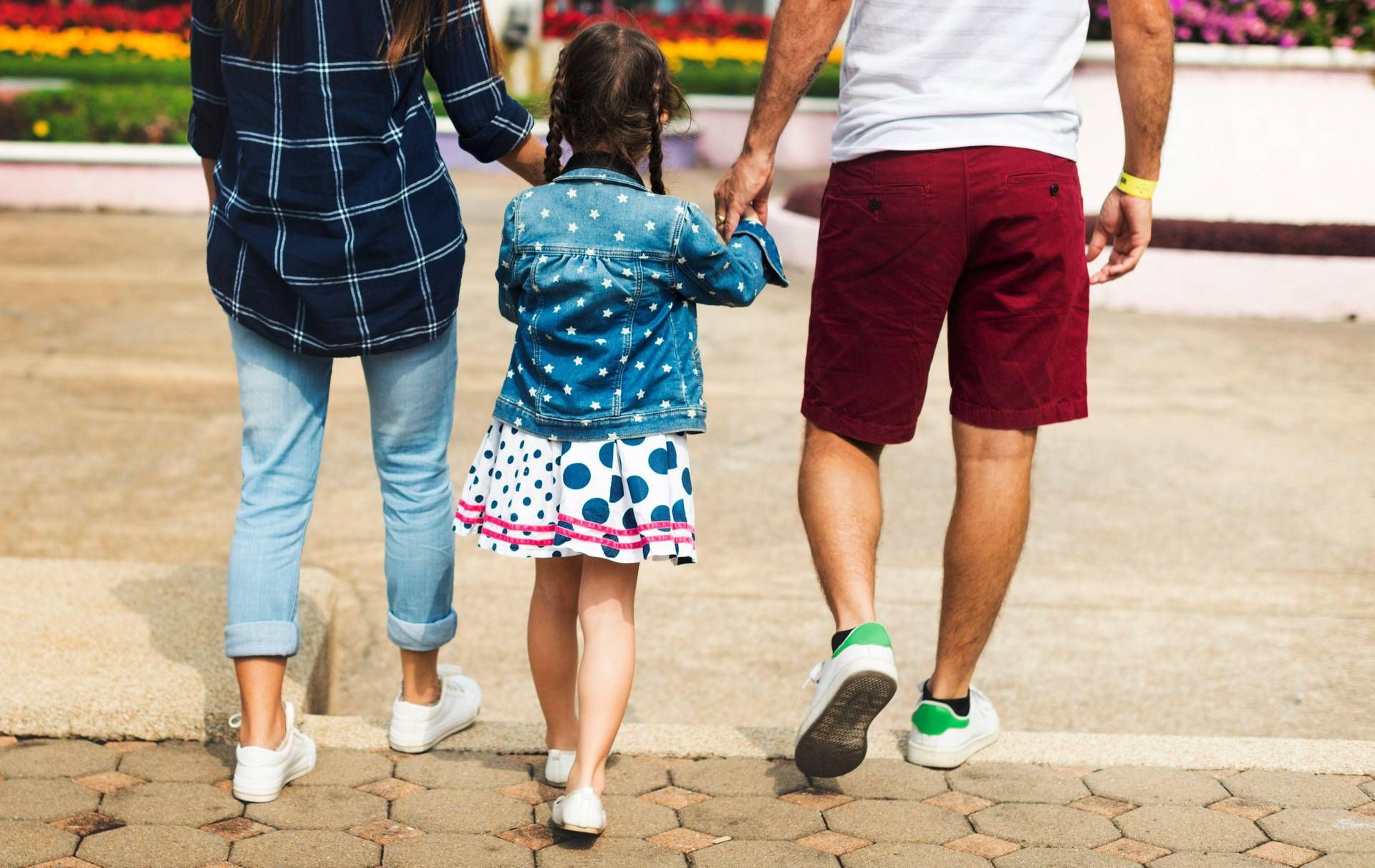 Manovra, Istat: "Taglio Irpef per 14 milioni di contribuenti, beneficio medio 230 euro anno"