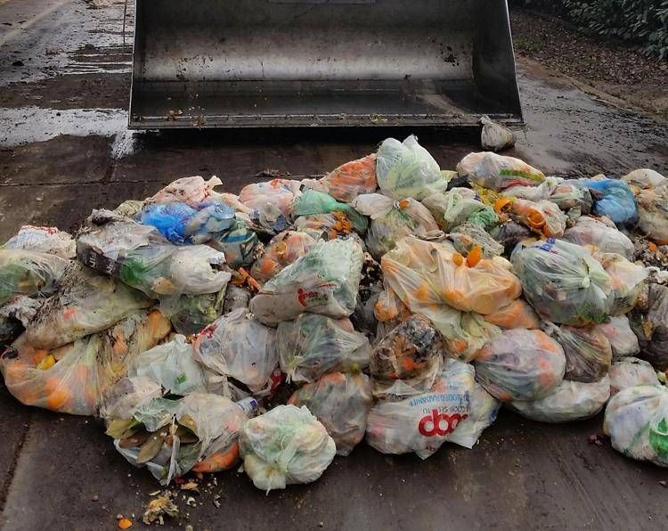  alleanza strategica per potenziare il riciclo organico