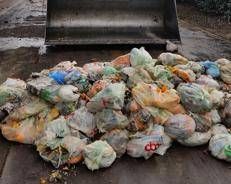 Rifiuti, Cic-Legambiente: alleanza strategica per potenziare il riciclo organico