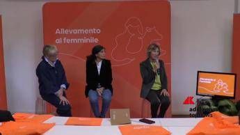 Zootecnica: nel bolognese il premio 'Allevamento al Femminile' di Zoetis Italia