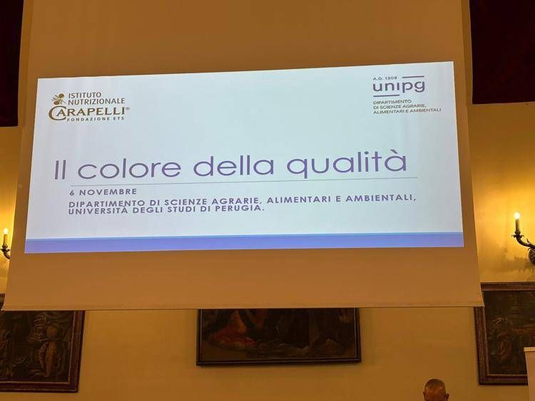 istituto_nutrizionale_carapelli_comm image Olio, Inc: