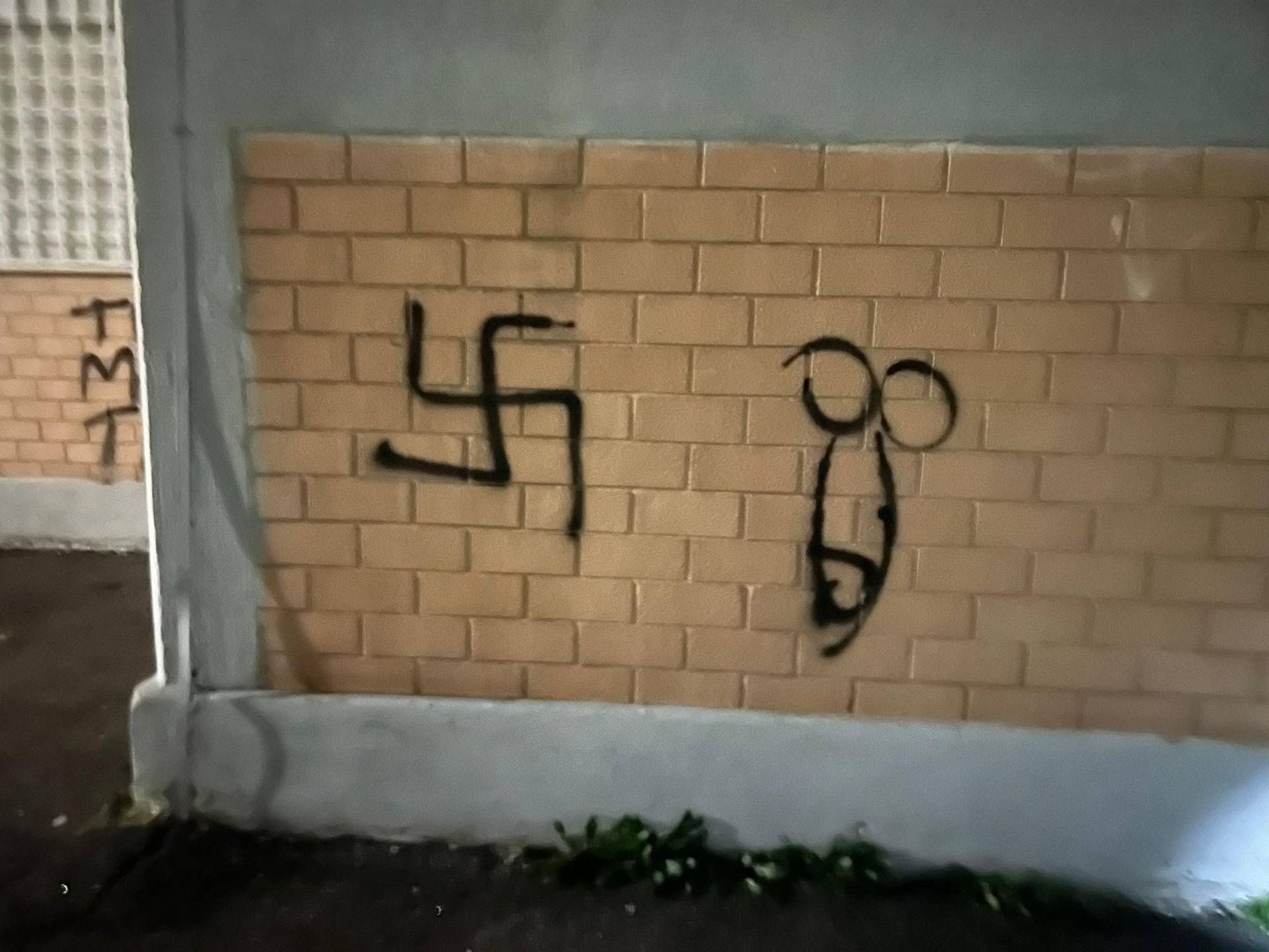 scuola santabeatrice vandali4