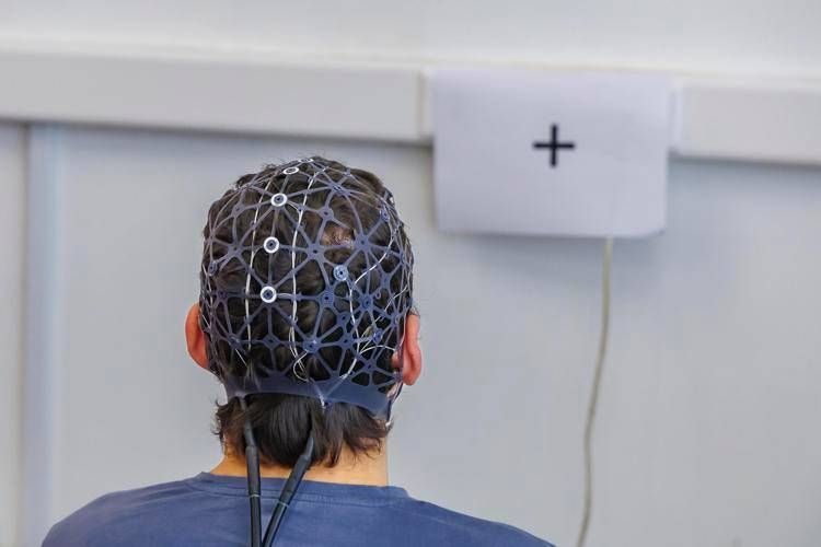 L'ASI e la ricerca sugli effetti della microgravità simulata