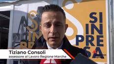 Consoli (Regione Marche): 
