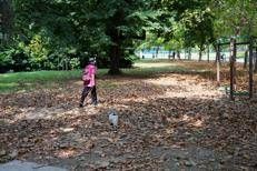 Porsegue la novembrata con caldo anomalo - (Ipa)