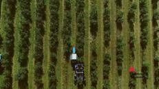 Imprese, Syngenta compie 25 anni tra sostenibilità e innovazione