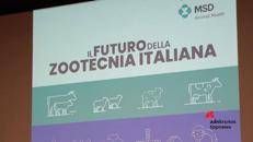 Zootecnia italiana tra sfide e rilancio: servono politiche di lungo periodo e un nuovo patto di filiera