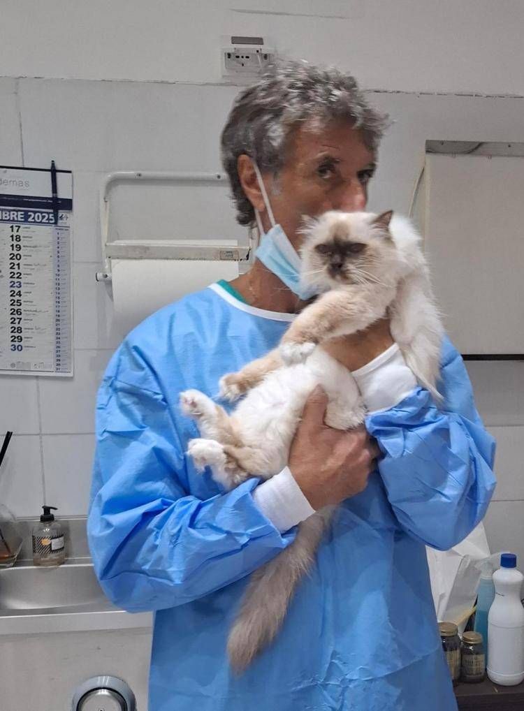 Federico Coccìa  con 'paziente' gatto