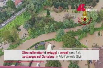 Maltempo in Friuli, Coldiretti: oltre mille ettari di cereali e ortaggi sott'acqua