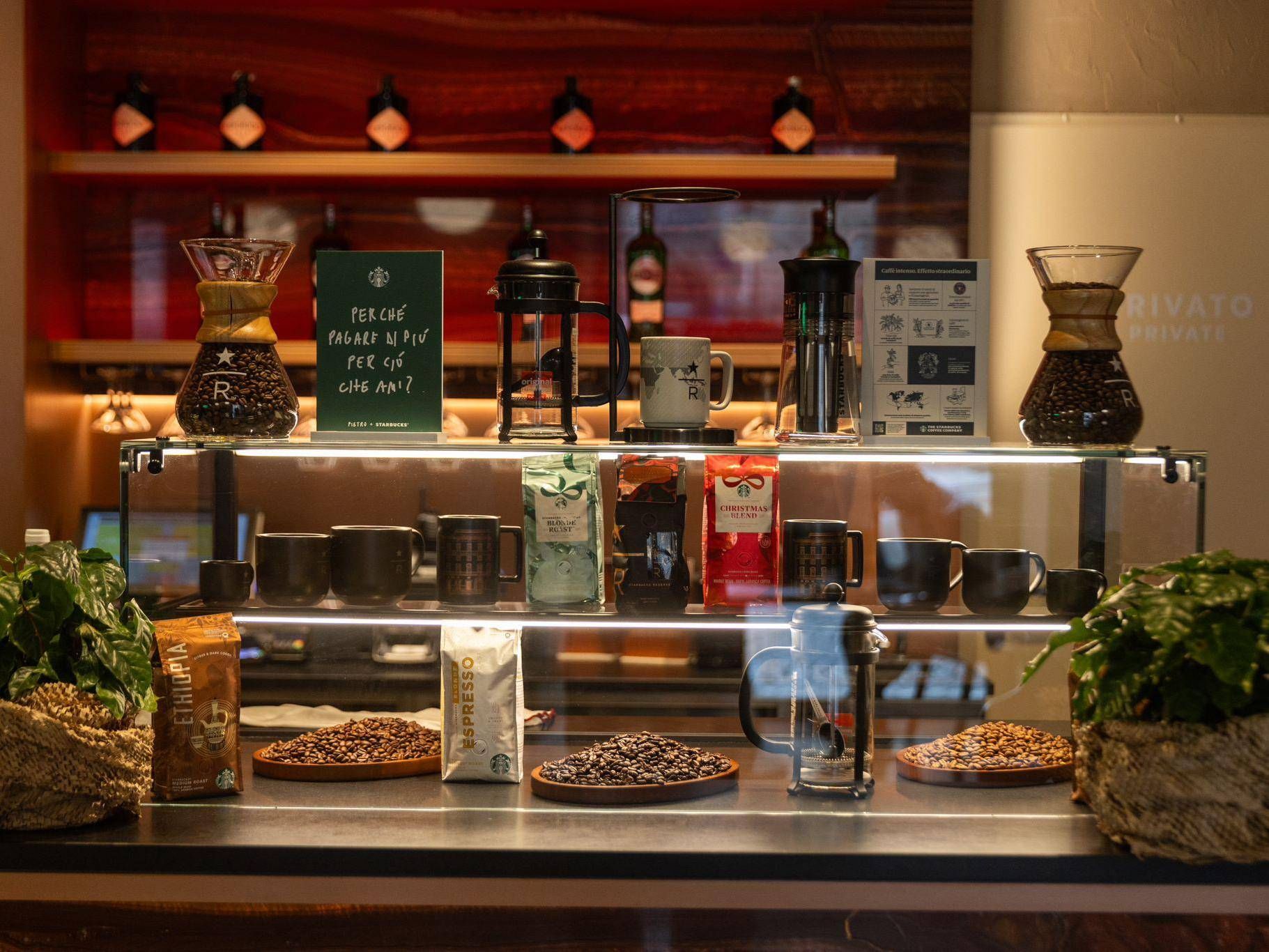 starbucks roma 8 comm