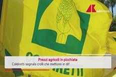 Coldiretti: 