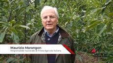 Agricoltura, Marangon (Fai): 