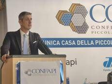 Cristian Camisa  presidente di Confapi 