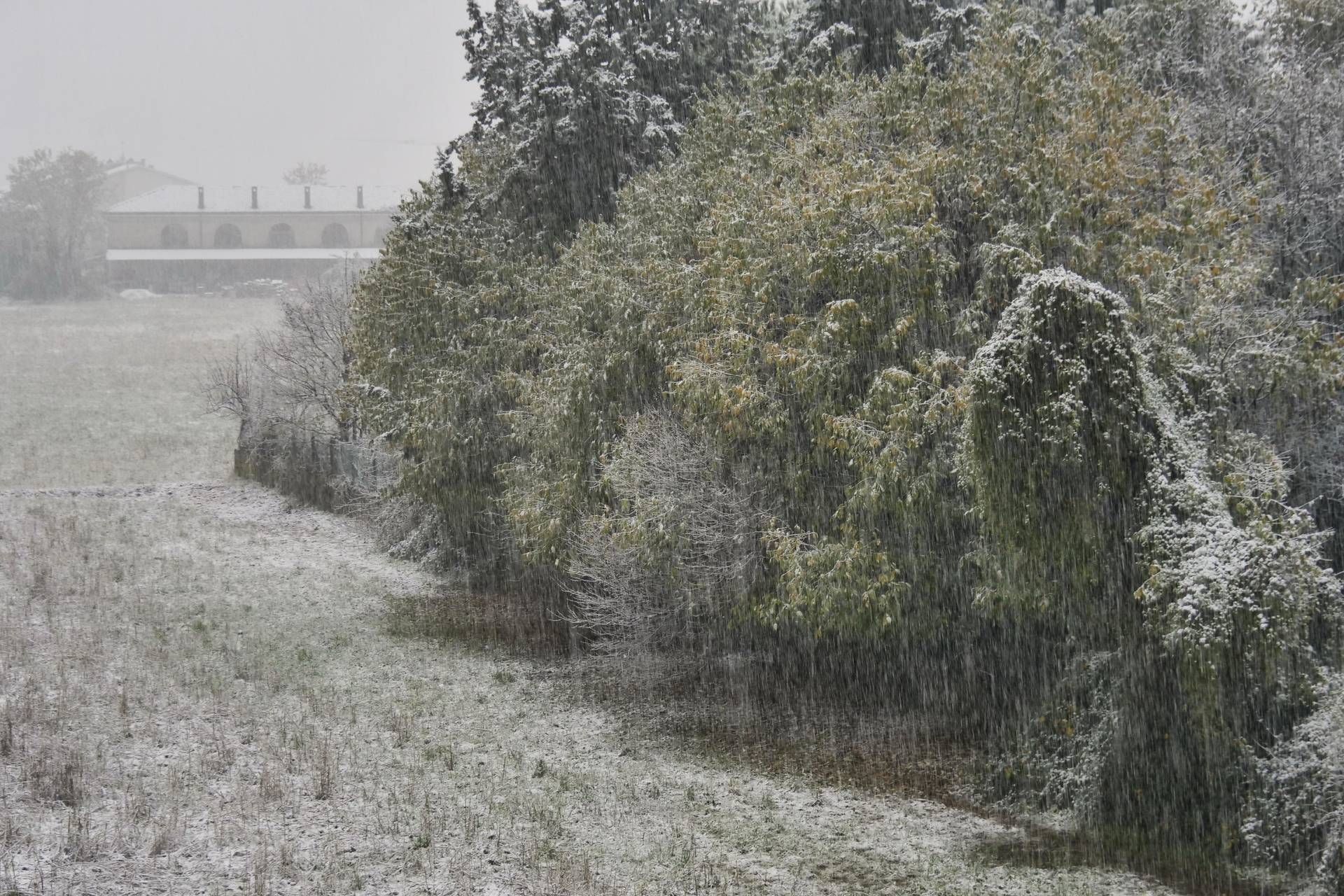 Maltempo sull’Italia, neve e gelo polare: l’inverno è in anticipo Maltempo sull’Italia, neve e gelo polare: l’inverno è in anticipo