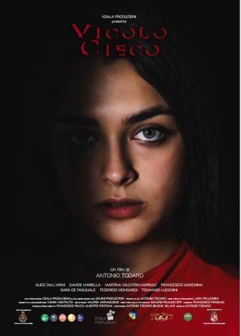 Cinema, a Traversetolo prima del film 'Vicolo cieco': al centro violenza su donne