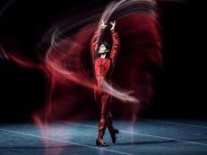 La star del flamenco Sergio Bernal protagonista a Roma al Parco della Musica del gran gala 'Las Estrellas'