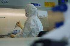 Giappone, Tokyo costruisce resilienza climatica con Ia e impegno dei cittadini