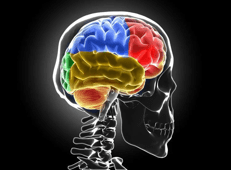 Sclerosi multipla, Bandiera (Aism): 