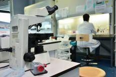 Un laboratorio (Fotogramma)