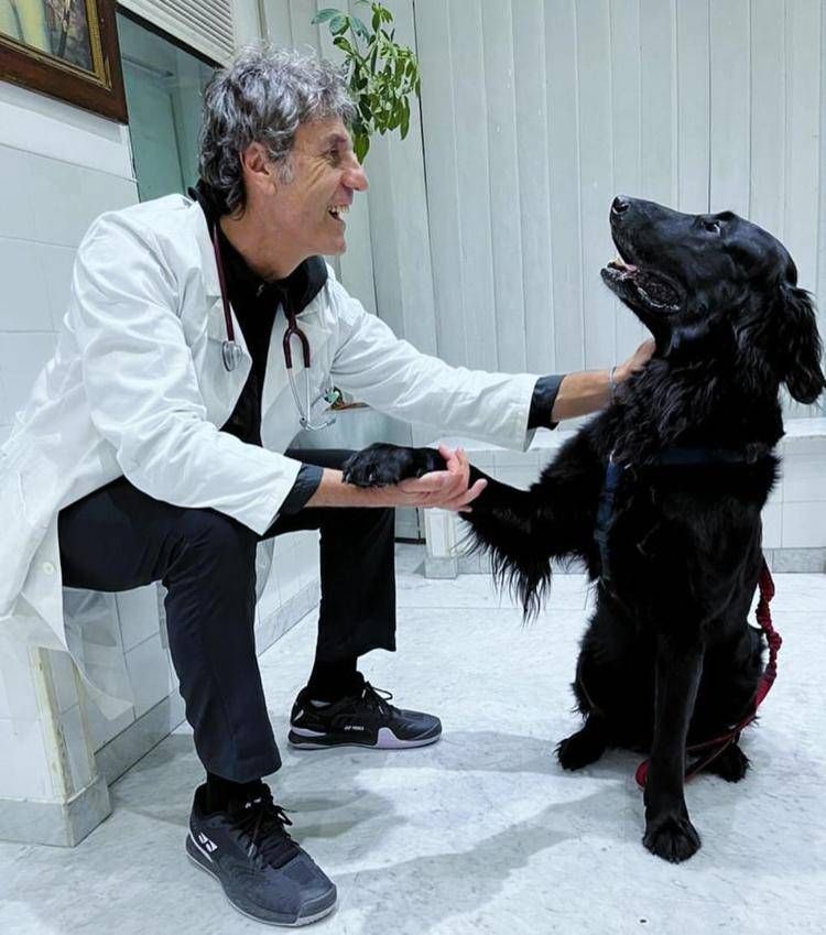Il veterinario Federico Coccìa 
