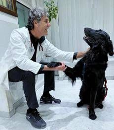Il veterinario Federico Coccìa 