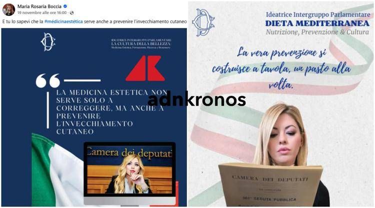 Maria Rosaria Boccia ci ricasca: usa il logo della Camera dei deputati per promuovere diete e chirurgia estetica