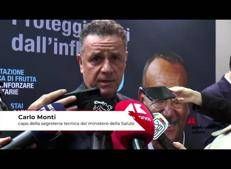 Sanità: Monti (MS), 'importante riportare l'anziano al centro'