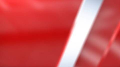 Micheletto (Aipo): 'BPCO per 6-8% italiani, sottodiagnosi per sintomi poco specifici nei fumatori