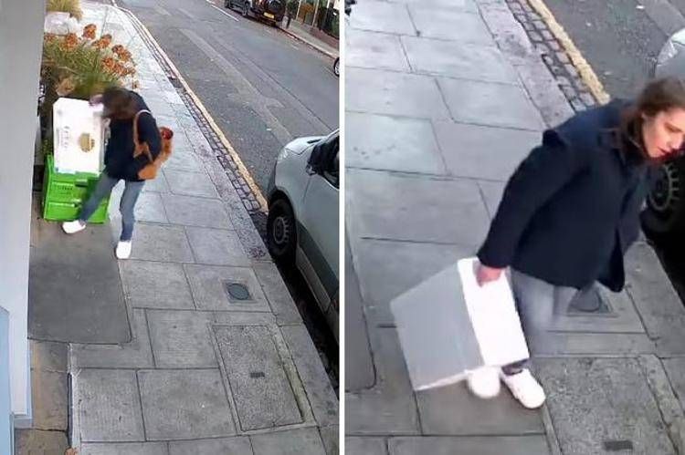 langoustine image Londra, mistero della