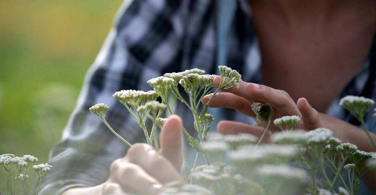 Premiati a Parma i vincitori della seconda edizione di 'The good farmer'
