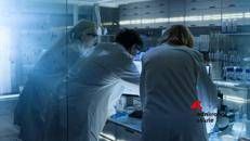 Salute, obesità: arriva in Italia l'idrogel che favorisce il senso di sazietà precoce