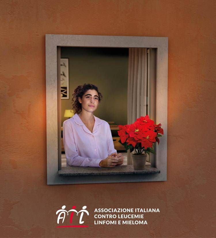 Lotta alle leucemie, tornano le stelle di Natale Ail per la ricerca