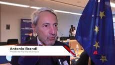 Gender: Brandi (Pro Vita), 