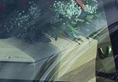 Bara su carro funebre - Fotogramma /Ipa