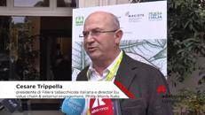 Tabacco: Trippella (Filiera tabacchicola italiana), 'eliminare coltivazioni tabacco non riduce tabagismo'