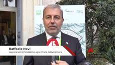 Tabacco: Nevi (FI), 'Contrasto a illecito? Europa prenda ad esempio da filiera italiana'