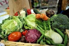 Microbioma alleato contro il mieloma: 