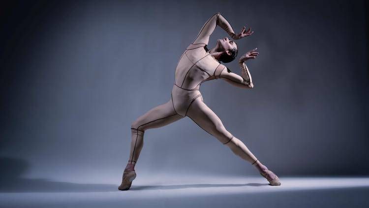 Il danzatore Friedemann Vogel